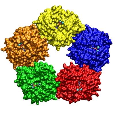 CRP szint, c-reaktív protein, 