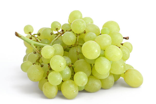 A szőlőt régóta a gyümölcsök királyának tartják, az ókorban a termékenység szimbóluma volt. Kiváló tulajdonságaiban az alma mellé állítható. Teljes értékű táplálék. Ha kizárólag gabonafélét és szőlőt fogyasztunk, szervezetünk mindenhez hozzájut, amire  a 