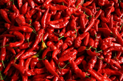 Kapszaicin tapasz Kapszaicin tapasz