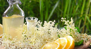 Így készítsd el házilag te is ezt az isteni bodzaszörpöt! Bodzaszörp recept cukorbetegeknek