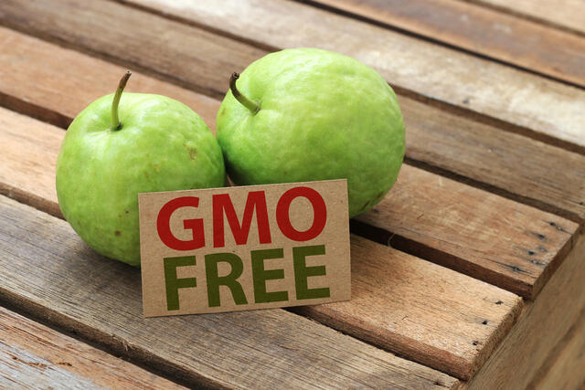 Mi az a GMO? GMO-mentes élelmiszer előnyei