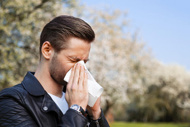 Allergia megelőzése