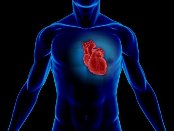 Szív- és érrendszeri szövődmények cukorbetegségben