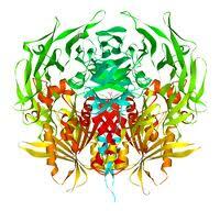 dpp-4, gliptin, gliptin készítmények, cukorbetegség dpp-4, gliptin, gliptin készítmények, cukorbetegség