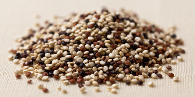 Quinoa Quinoa