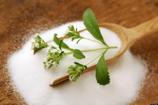 Stevia Stevia