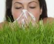 Az allergia kezelése Az allergia kezelése