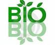 bioélelmiszer bioélelmiszer