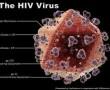 Megfejtették a HIV-fertőzöttség és az inzulinrezisztencia közötti kapcsolatot Megfejtették a HIV-fertőzöttség és az inzulinrezisztencia közötti kapcsolatot