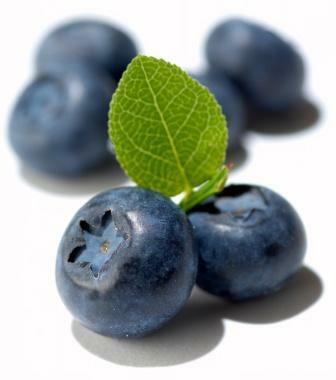 Az áfonya magas ásványi anyag és vitamin tartalmának köszönhetően kiválóan alkalmazható az alternatív gyógyításban. Jótékony hatásait a cukorbetegek is élvezhetik. Áfonyával az egészségért - természetes gyógymóddal a cukorbetegség ellen