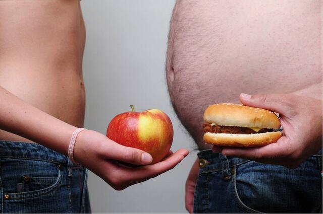 Vesekövet okoz az elhízás
