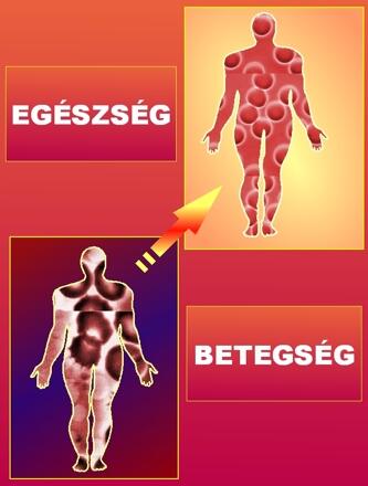 Sav bázis egyensúly Sav bázis egyensúly