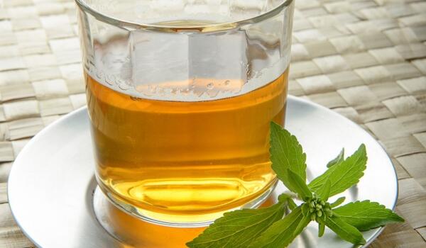 Stevia Stevia