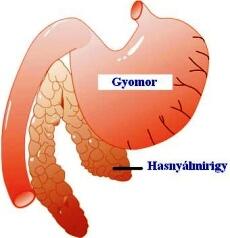 mesterséges hasnyálmirigy,