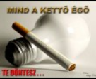 A cukorbetegség és a dohányzás A dohányzás és a cukorbetegség
