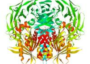 dpp-4, gliptin, gliptin készítmények, cukorbetegség dpp-4, gliptin, gliptin készítmények, cukorbetegség
