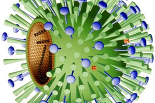 Az influenza járvány terjedés 2012-ben, védekezés a megbetegedés ellen, mit tehetünk, hogy ne kapjuk el a járványt? Influenza 2012