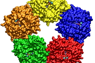 CRP szint, c-reaktív protein, CRP szint, c-reaktív protein,