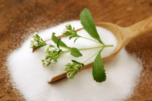 Stevia Stevia