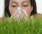 Az allergia kezelése Az allergia kezelése