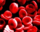 Az immunrendszer erősítése Az immunrendszer erősítése