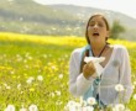 Tévhitek az allergia kezeléséről Tévhitek az allergia kezeléséről