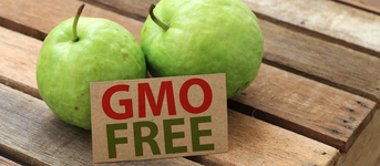 Mi az, hogy GMO-mentes élelmiszer és mik az előnyei?