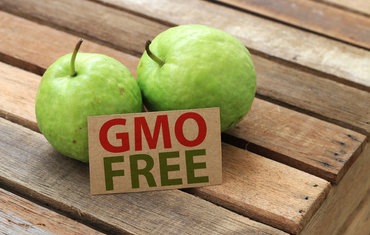 GMO-mentes élelmiszer előnyei
