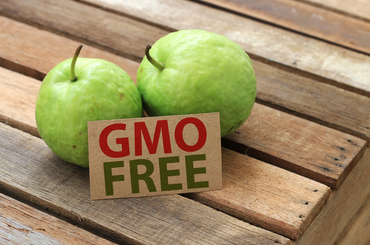 Mi az, hogy GMO-mentes élelmiszer és mik az előnyei?